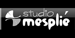 studio mesplié partenaire de la taillade de montségur par kreastyl communication